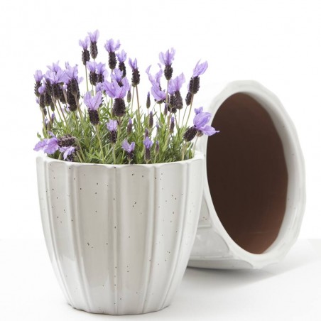 MACETA VASO ELEGANCIA BLANCO