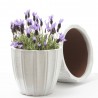 MACETA VASO ELEGANCIA BLANCO