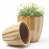 MACETA VASO ELEGANCIA AMBAR 