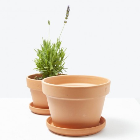 MACETA BOWL BARRO ROJO