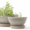 MACETA BOWL BARRO ANTRACITA