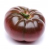 TOMATE MARMANDE AZUL MACETA