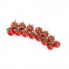 TOMATE CHERRY REDONDO EN MACETA