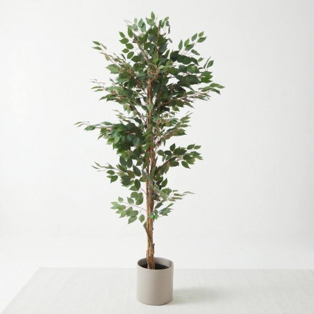 FICUS ARTIFICIAL