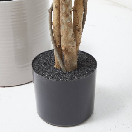 FICUS ARTIFICIAL