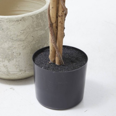 FICUS ARTIFICIAL