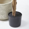 FICUS ARTIFICIAL