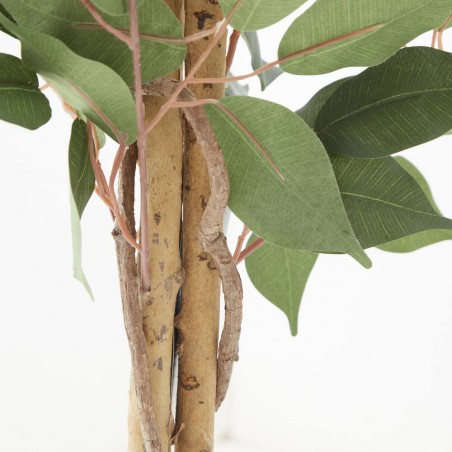 FICUS ARTIFICIAL