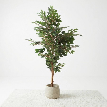 FICUS ARTIFICIAL
