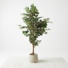 FICUS ARTIFICIAL