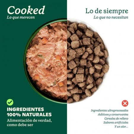 COMIDA COCINADA DE SALMÓN PARA PERROS WILD BALANCE