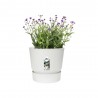MACETA GREENVILLE ROUND BLANCA