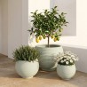 MACETA ZAFIRA OLD GREEN