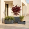 JARDINERA MURO GYPSE PLOMO