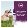 PIPETA VECTRA 3D ANTIPARASITARIA PARA PERRO