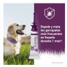 PIPETA VECTRA 3D ANTIPARASITARIA PARA PERRO
