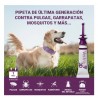 PIPETA VECTRA 3D ANTIPARASITARIA PARA PERRO