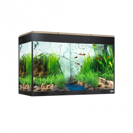 Kit acuario fluval Roma 125 litros