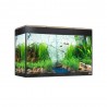Kit acuario fluval Roma 125 litros