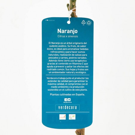 NARANJO