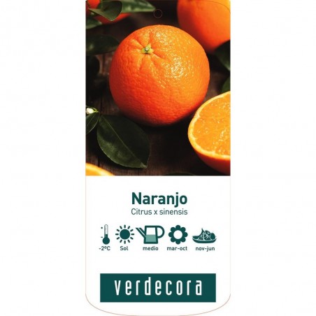 NARANJO
