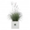 MACETA VIVO NEXT SQUARE BLANCO