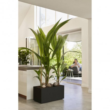 JARDINERA VIVO NEXT LONG NEGRO