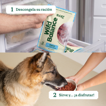 Menú barf pavo para perro wild balance