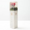 Rosa eterna roja