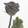 Rosa eterna negra