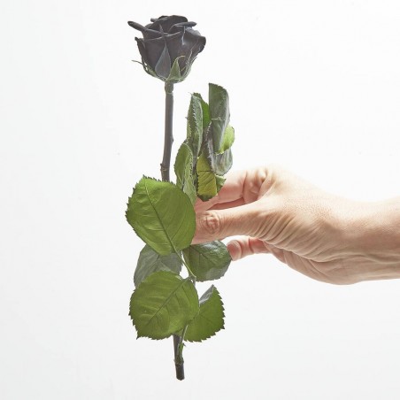 Rosa eterna negra