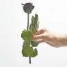 Rosa eterna negra