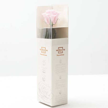 Rosa eterna rosa pastel