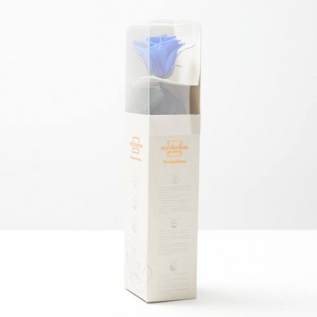 Rosa eterna azul