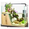 Nano acuario maya