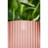 CUBRE VIBES DELICATE PINK