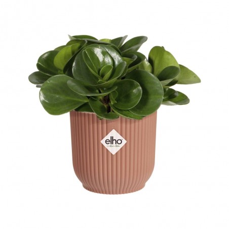 CUBRE VIBES DELICATE PINK