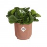 CUBRE VIBES DELICATE PINK