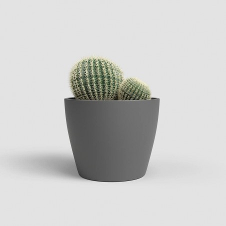 MACETERO NÚBIA CACTUS ANTRACITA