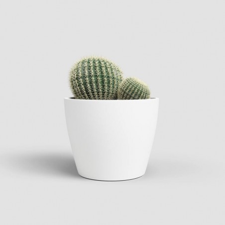 MACETERO NÚBIA CACTUS BLANCO