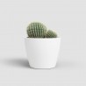 MACETERO NÚBIA CACTUS BLANCO
