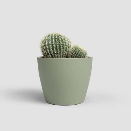 MACETERO NÚBIA CACTUS VERDE