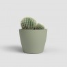 MACETERO NÚBIA CACTUS VERDE