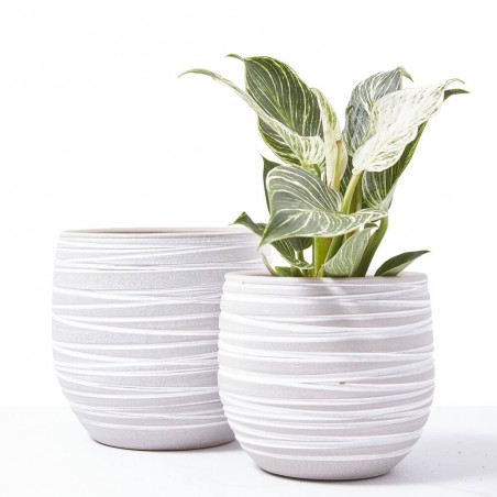CUBRE DORIS CREMA