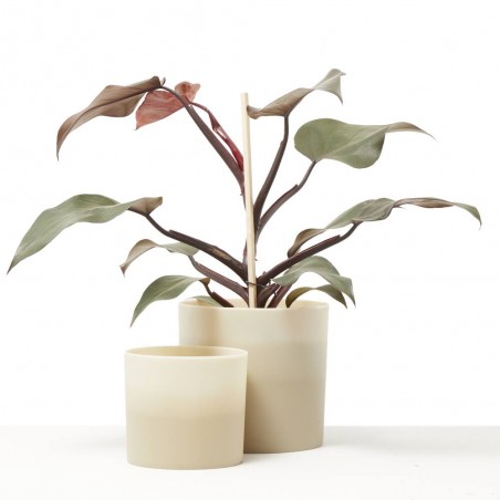 MACETERO GRADIENT BEIGE ARENA