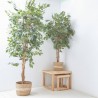 ÁRBOL ARTIFICIAL FICUS RETUSA