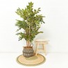 ÁRBOL ARTIFICIAL FICUS RETUSA