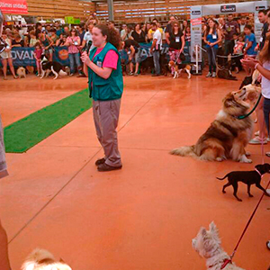 desfile_canino_1
