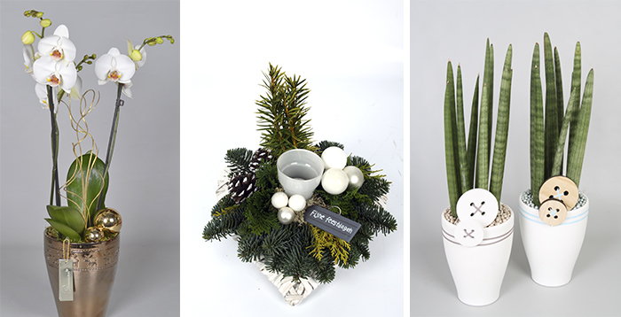 Aspecto natural para una Navidad con espíritu de Naturaleza