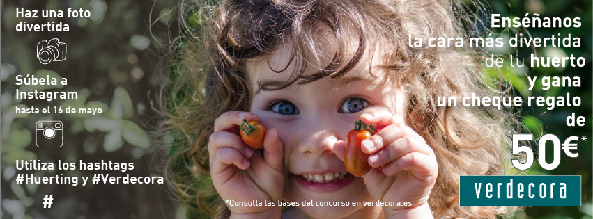 Concurso-Instagram-bases